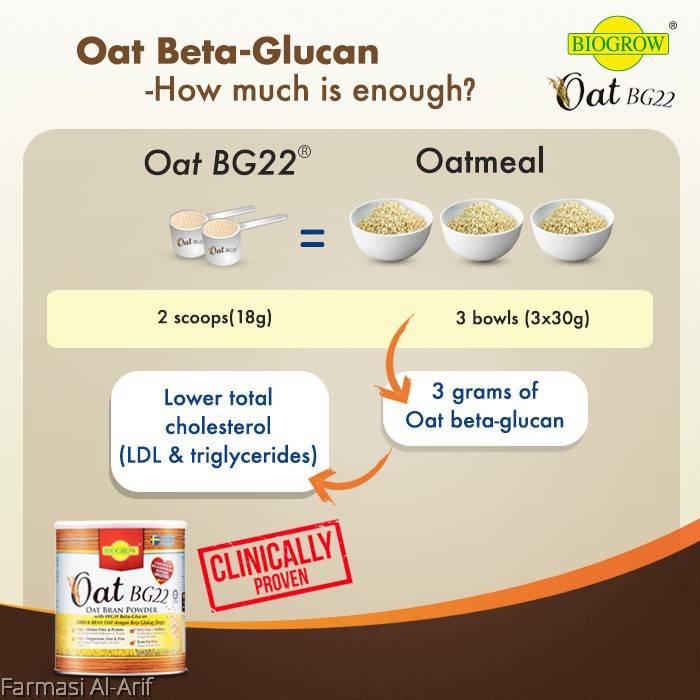 BIOGROW OAT BG22 480g